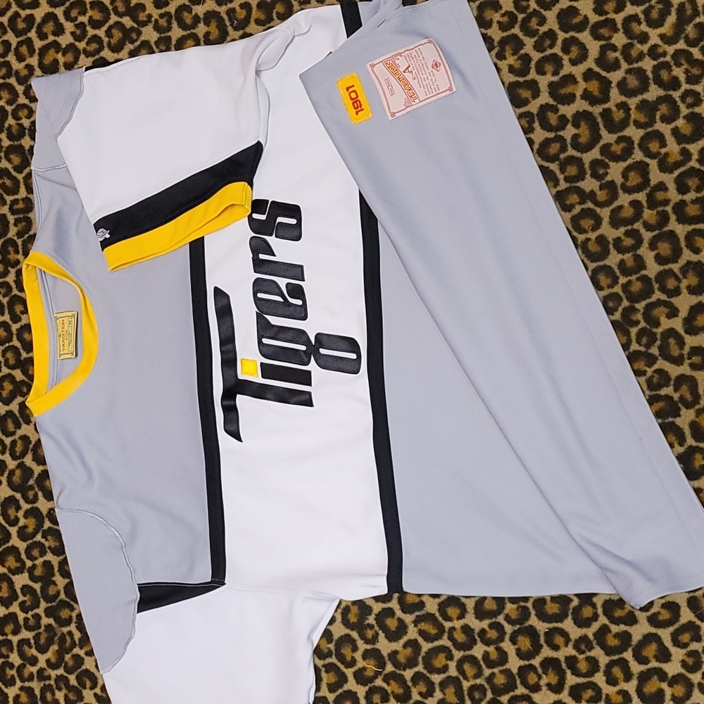 Tigers hockey jersey